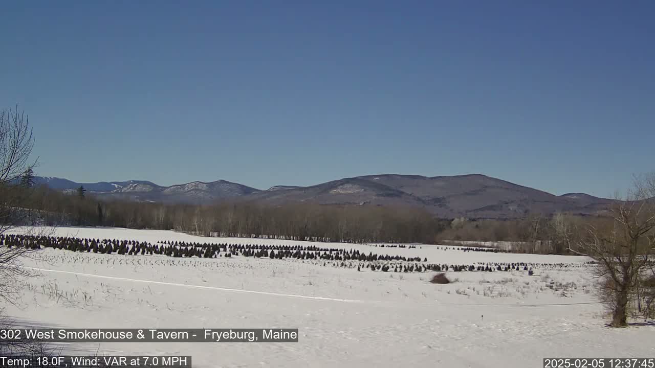 Fryeburg Conway Common Landstate Forest Live Cam- Maine, USA