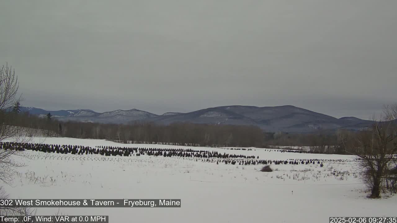 Fryeburg Conway Common Landstate Forest Live Cam- Maine, USA