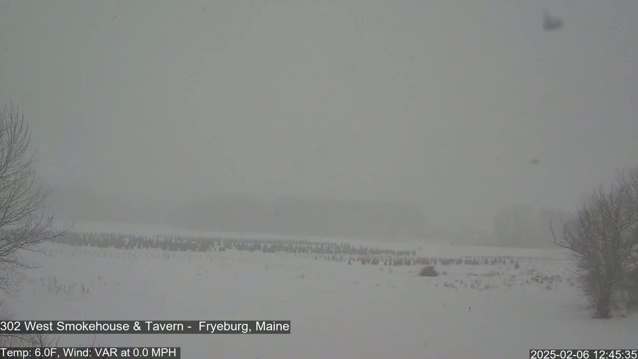 Fryeburg Conway Common Landstate Forest Live Cam- Maine, USA