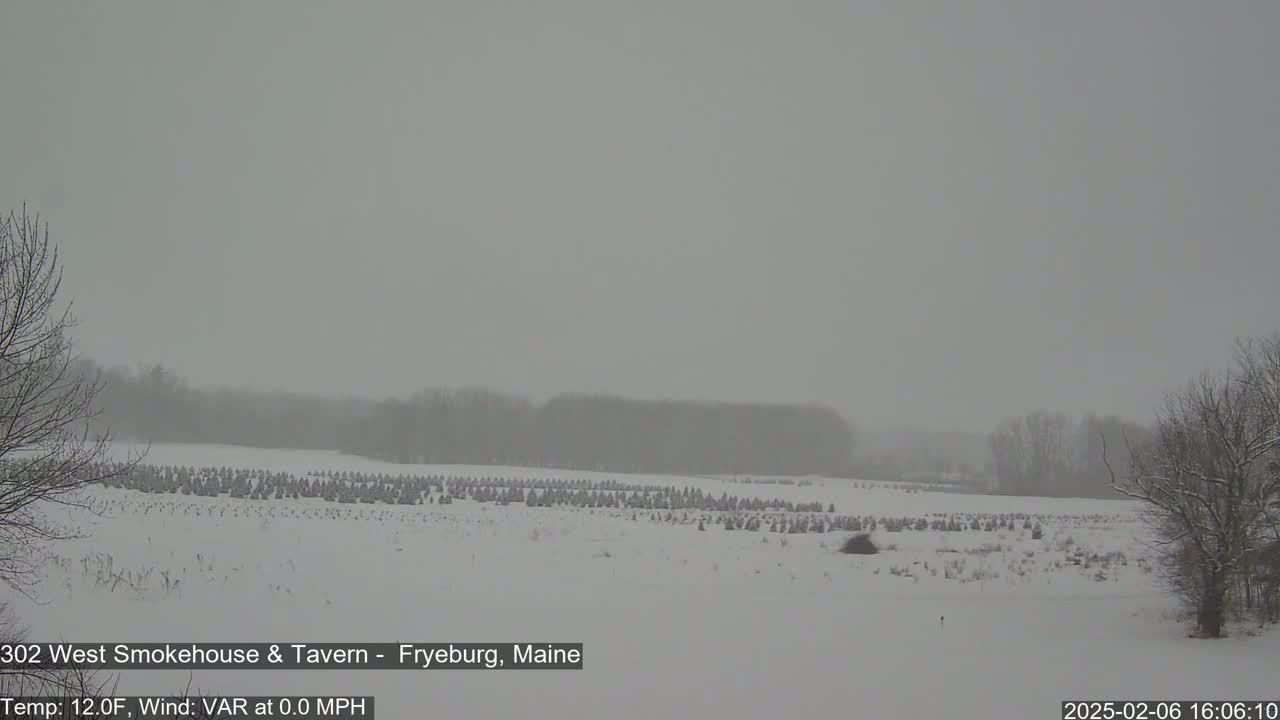 Fryeburg Conway Common Landstate Forest Live Cam- Maine, USA
