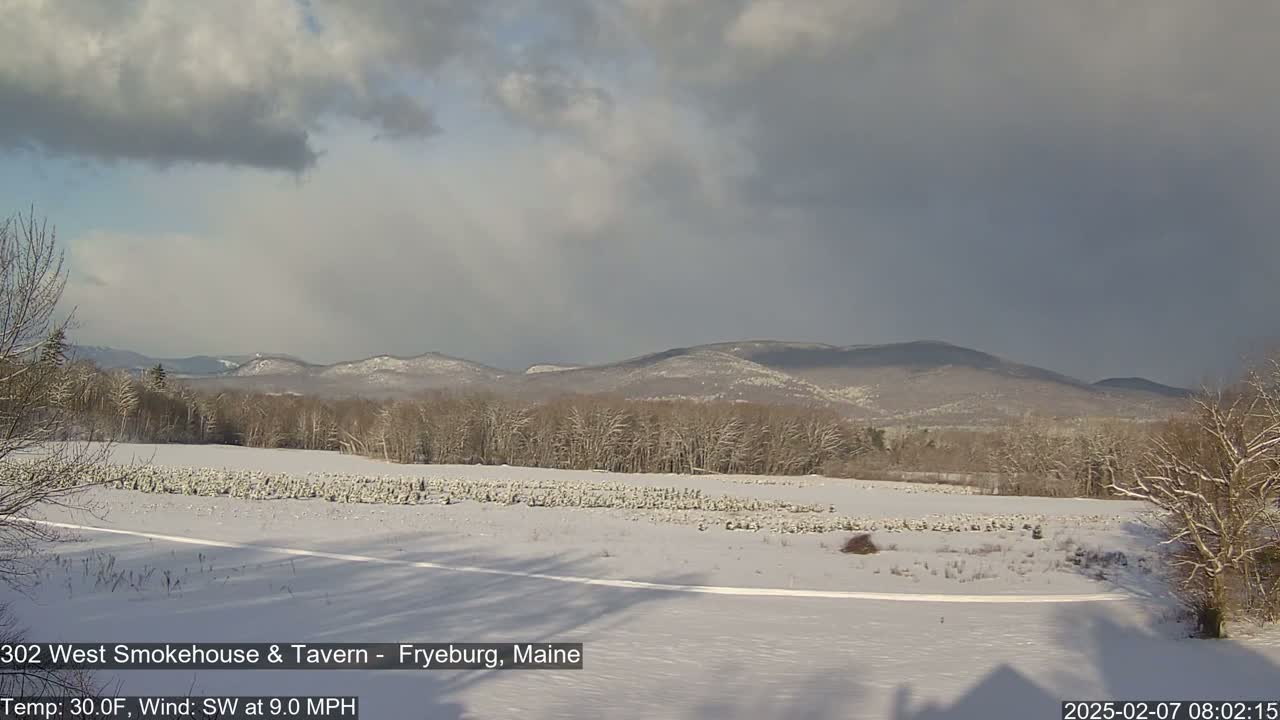 Fryeburg Conway Common Landstate Forest Live Cam- Maine, USA
