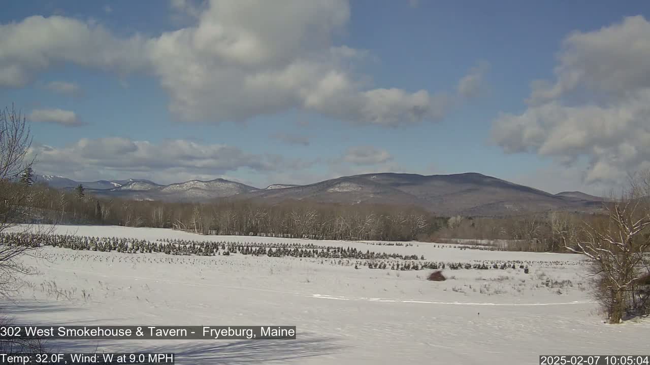 Fryeburg Conway Common Landstate Forest Live Cam- Maine, USA