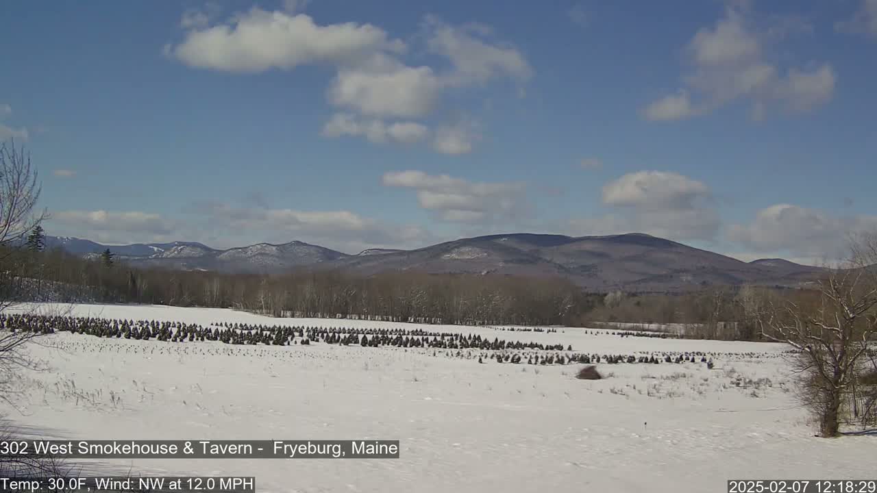 Fryeburg Conway Common Landstate Forest Live Cam- Maine, USA