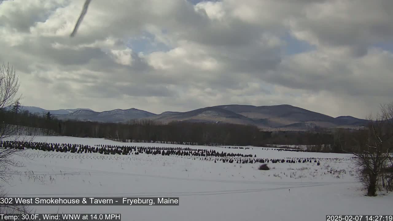 Fryeburg Conway Common Landstate Forest Live Cam- Maine, USA