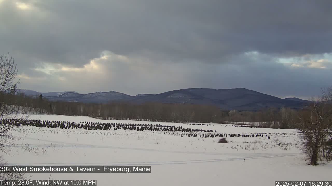 Fryeburg Conway Common Landstate Forest Live Cam- Maine, USA