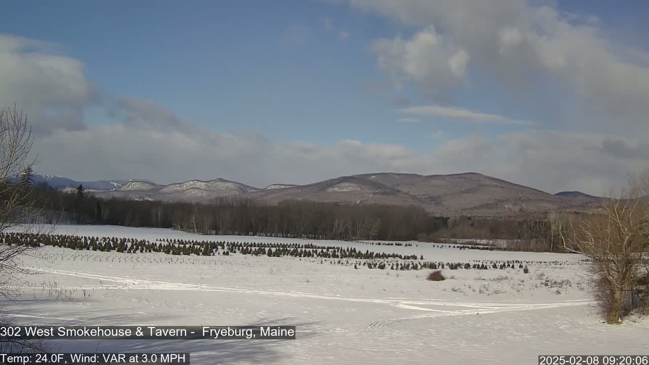 A snow-covered field with a Christmas tree farm in the foreground and distant mountains under a partly cloudy sky.