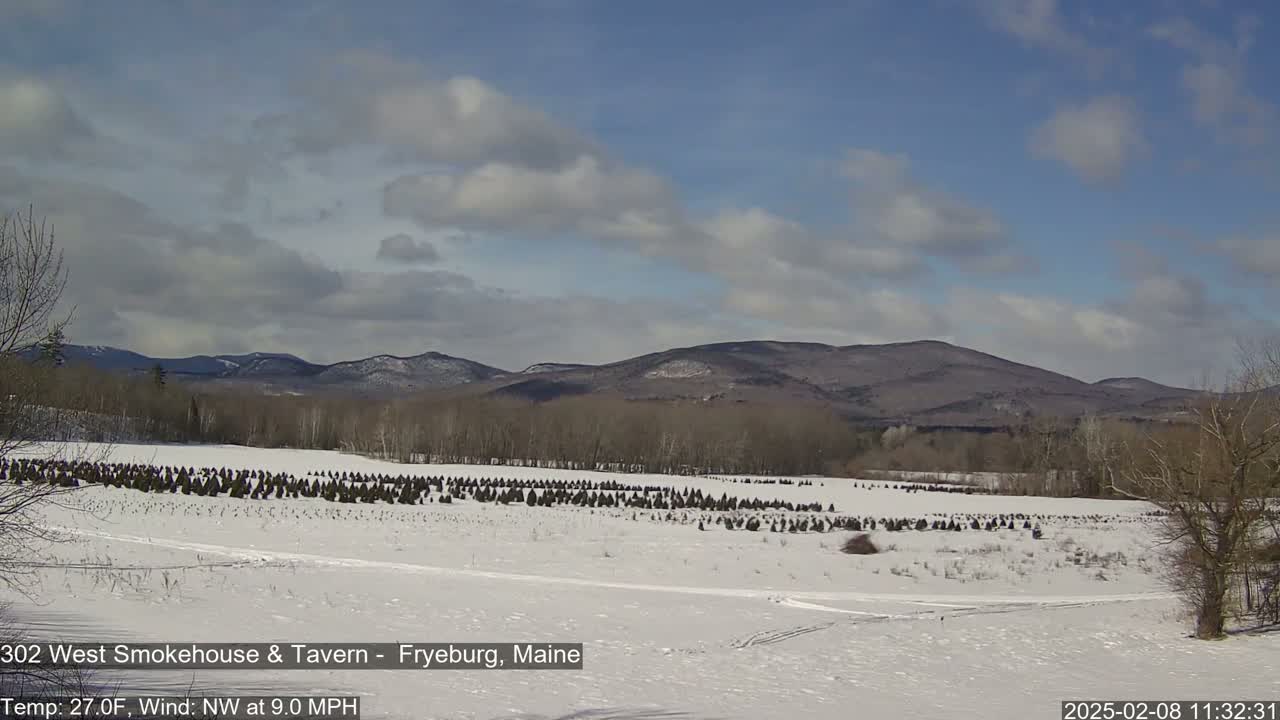 A snow-covered field of evergreen trees stretches toward a range of mountains under a partly cloudy sky.