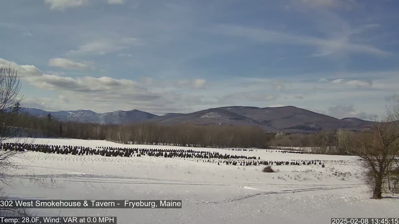 A snow-covered field with rows of small evergreen trees stretches out before a range of distant mountains under a partly cloudy sky.