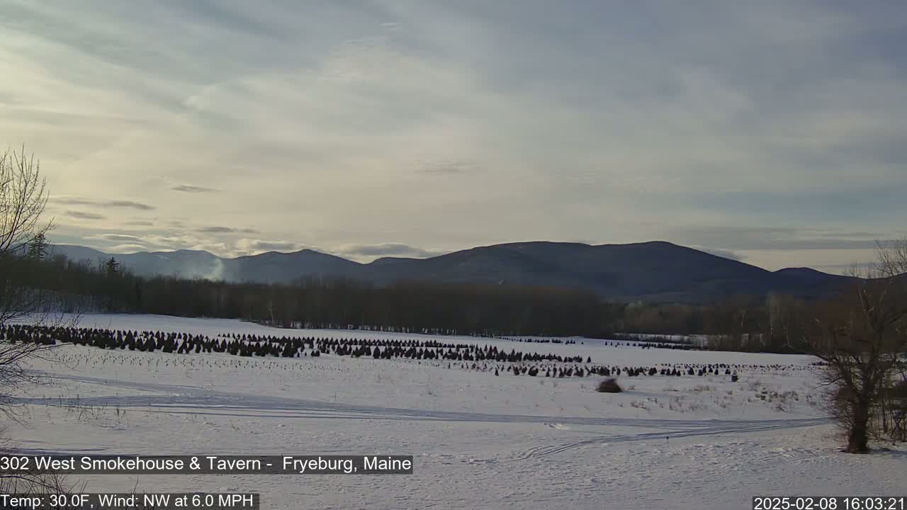 A snow-covered field with numerous small evergreen trees stretches towards distant mountains under a partly cloudy sky.