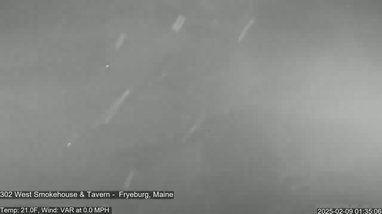 Light snow falls in a gray, overcast sky.