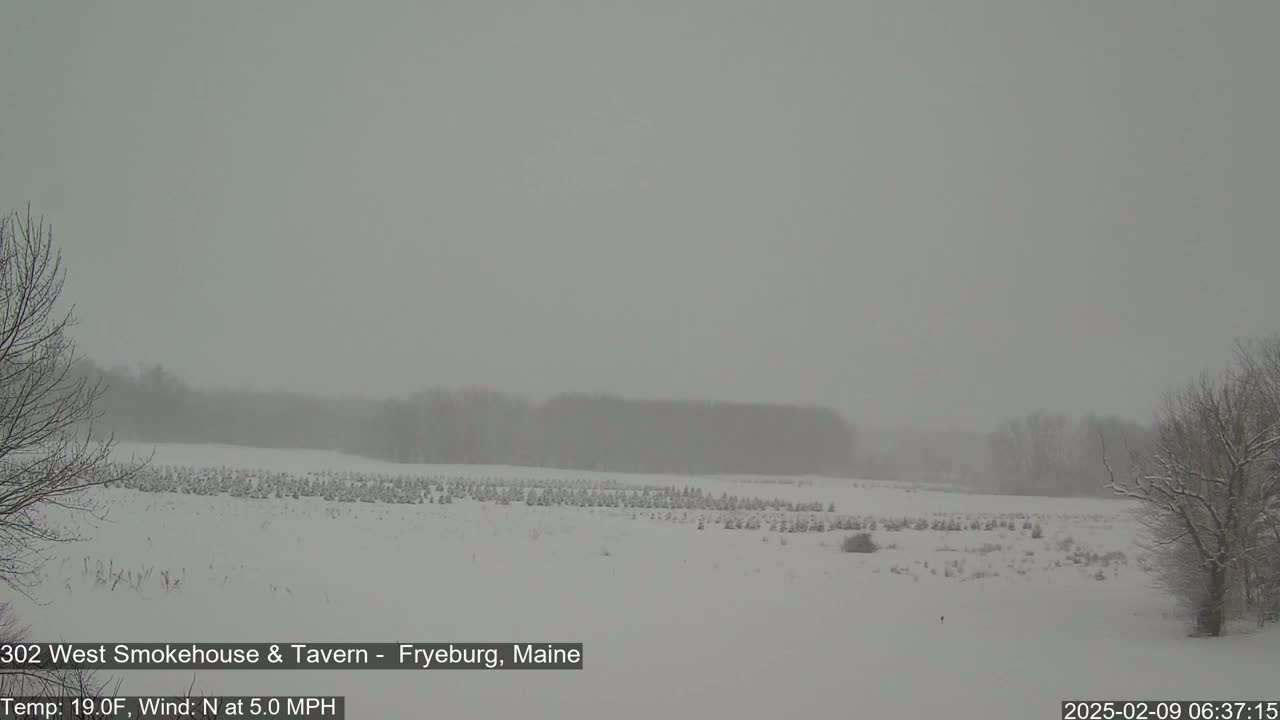 A snow-covered field with sparsely scattered evergreens is visible under a heavy, gray, snowy sky.