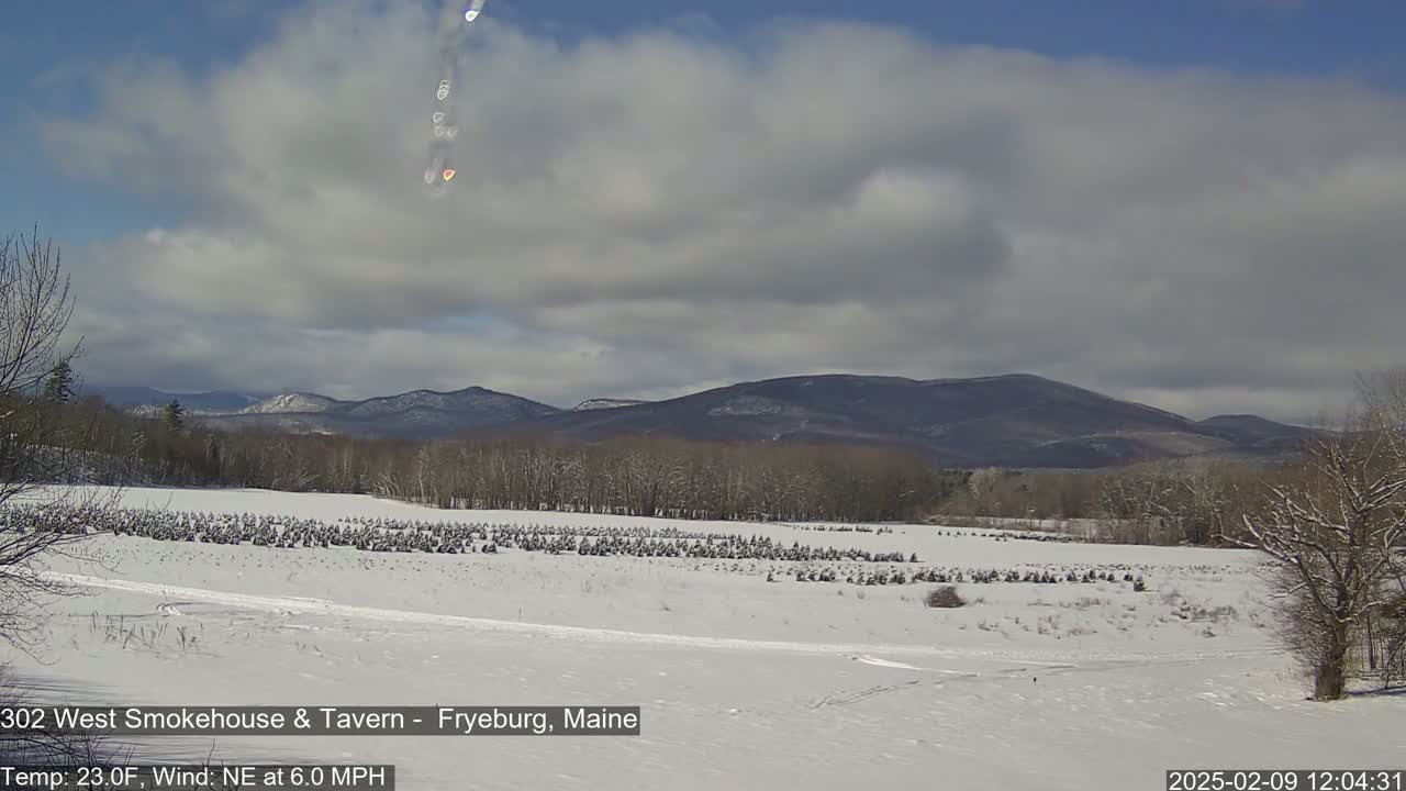 A snow-covered field of small evergreen trees stretches towards a range of distant, snow-dusted mountains under a partly cloudy sky.