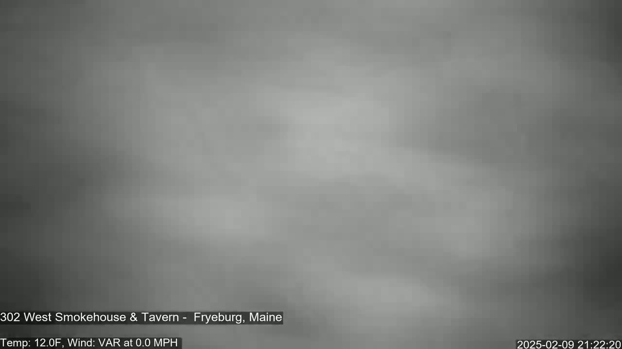 A blurry, overcast outdoor scene is shown in shades of gray.
