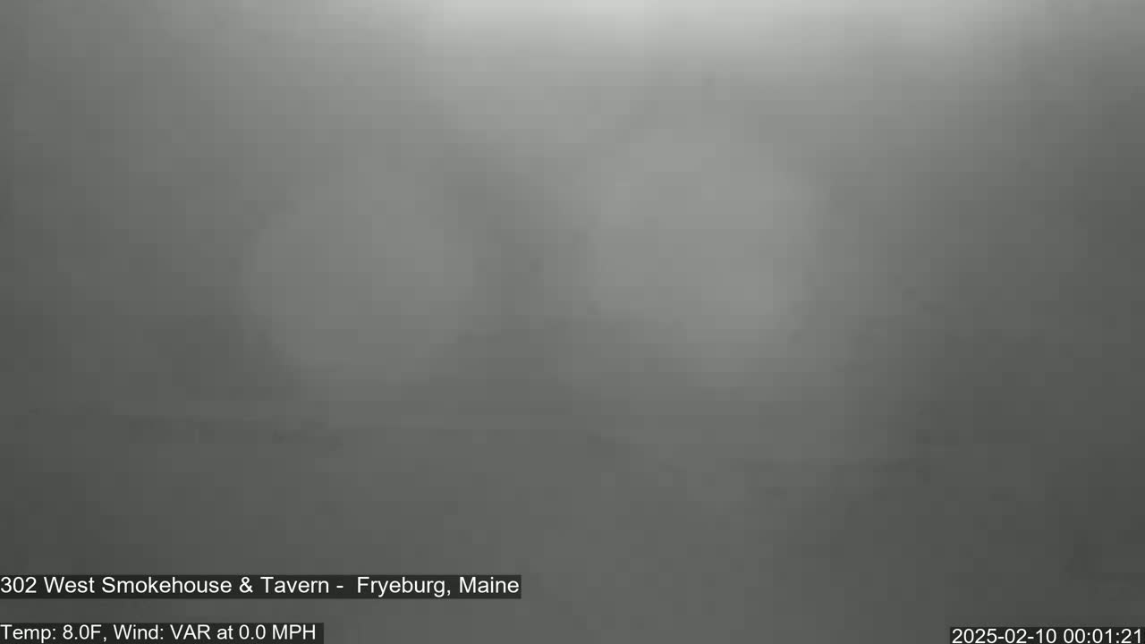A blurry, gray image shows a foggy or hazy outdoor scene.