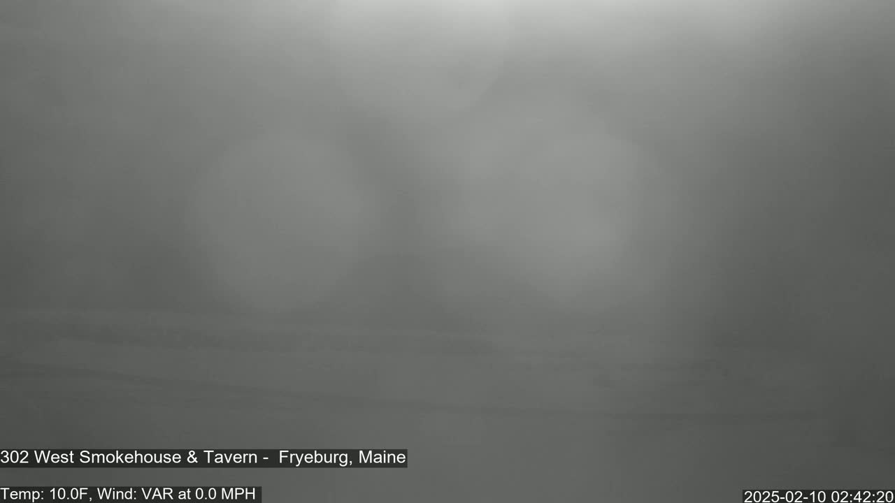 A blurry, gray image shows a foggy or hazy outdoor scene.