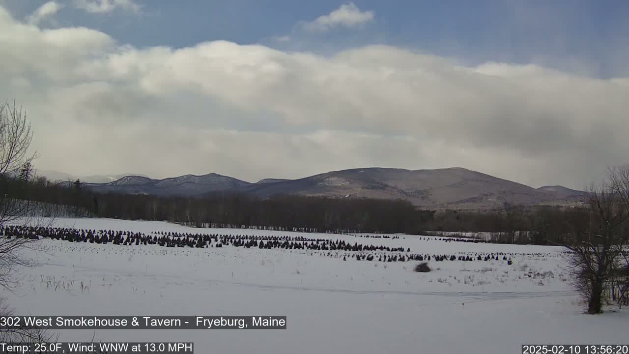 A snow-covered field with numerous dark evergreen trees stretches towards distant, snow-dusted mountains under a mostly cloudy sky.