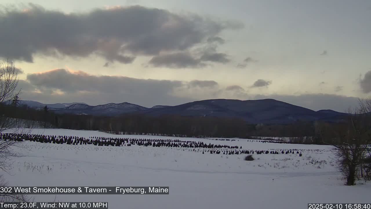 A snow-covered field with many small, dark evergreen trees stretches to the base of a range of dark mountains under a partly cloudy sky.