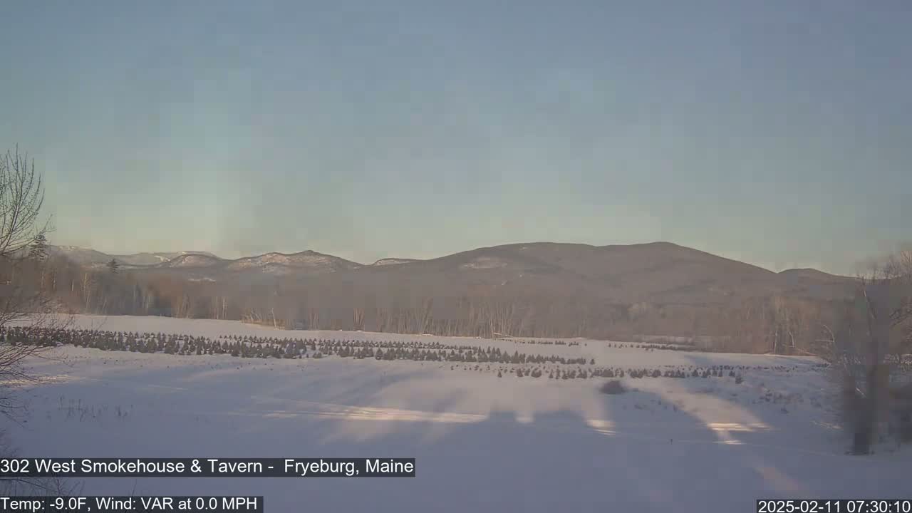 A snow-covered field of small evergreen trees stretches towards a range of distant, bare, brown hills under a clear, pale blue sky.