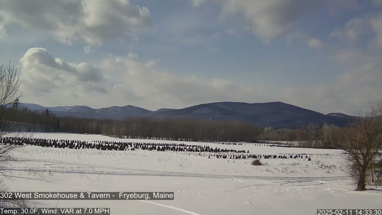 A snow-covered field with numerous evergreen trees, set against a backdrop of distant mountains under a partly cloudy sky.