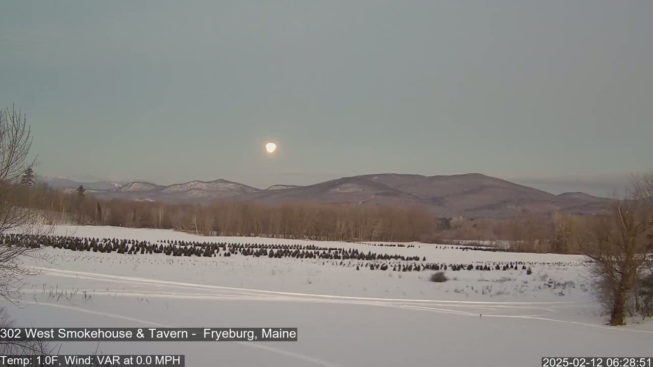 A bright moon hangs in the sky over a snow-covered field of small, dark evergreen trees, with bare, brown trees and distant mountains in the background under a pale, clear sky.