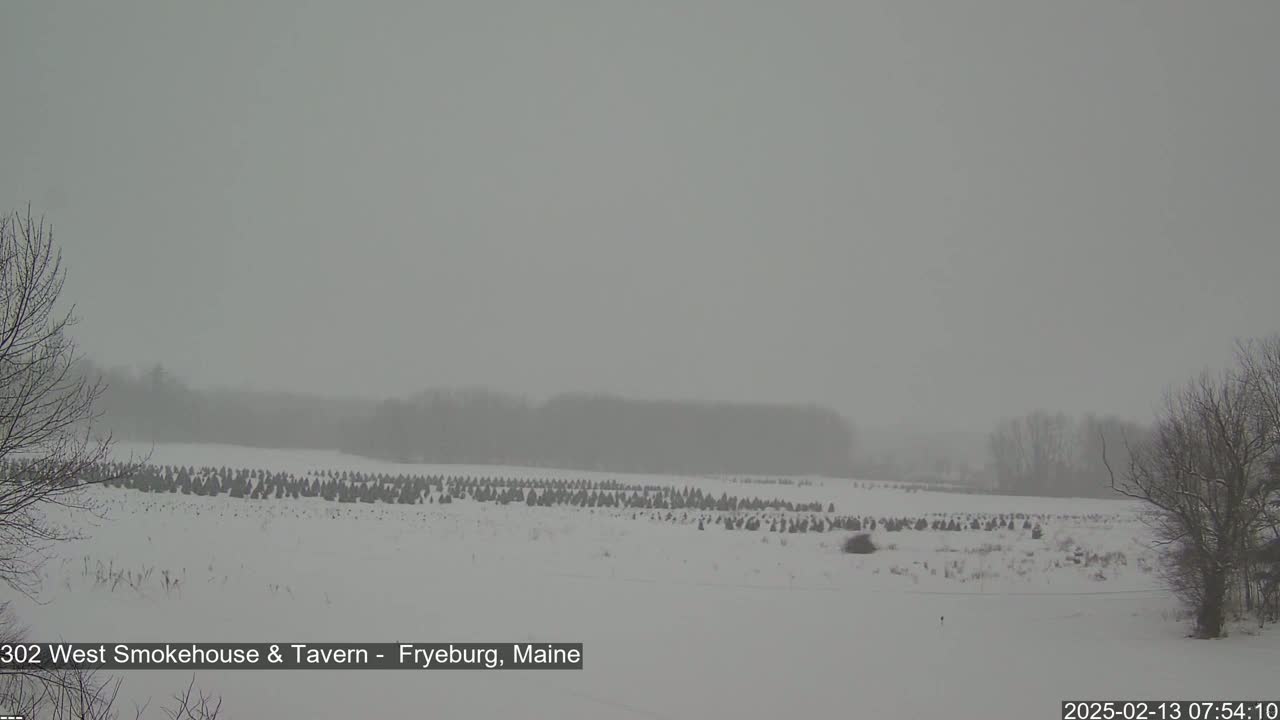 A snow-covered field with many small, dark evergreen trees is visible under a heavy, gray, snowy sky.