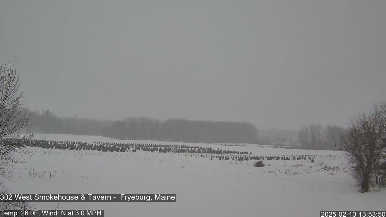A snow-covered field of what appear to be Christmas trees is visible under a gray, snowy sky.