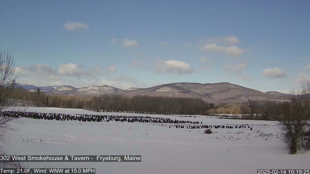 Fryeburg Conway Common Landstate Forest Live Cam- Maine, USA