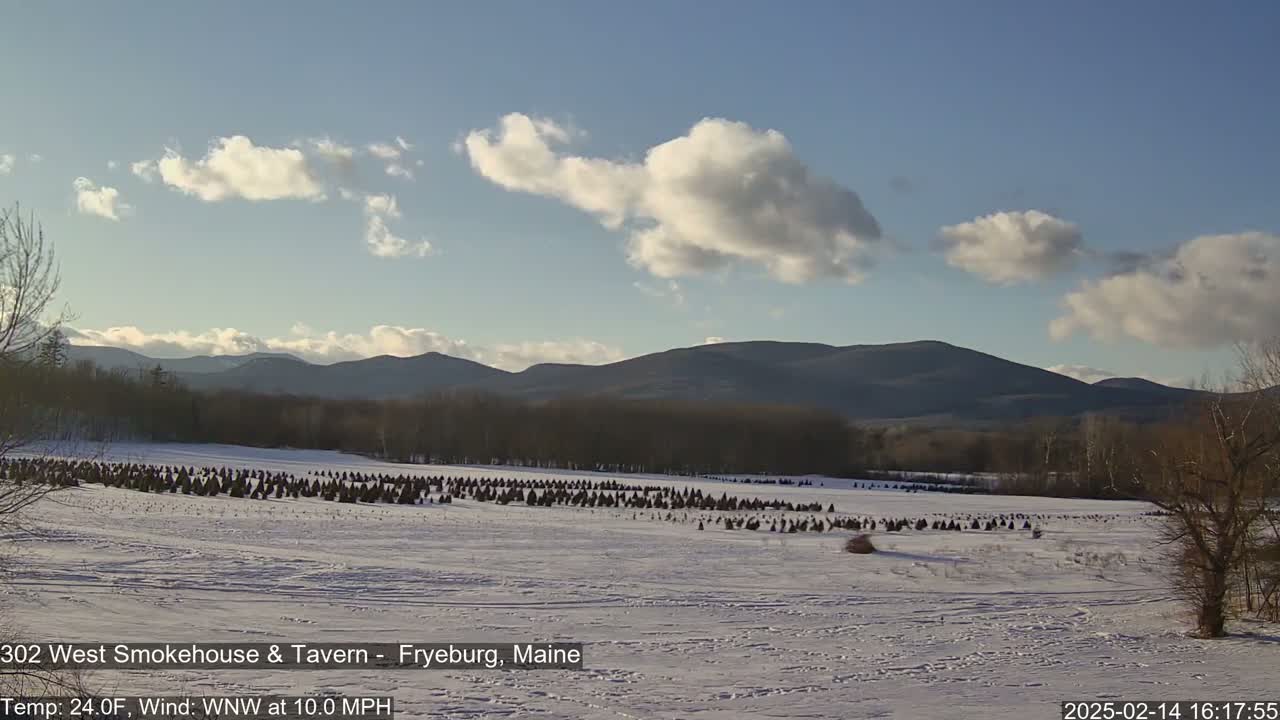 A snow-covered field with numerous dark evergreen trees in the middle ground, backed by a range of dark mountains under a partly cloudy sky.