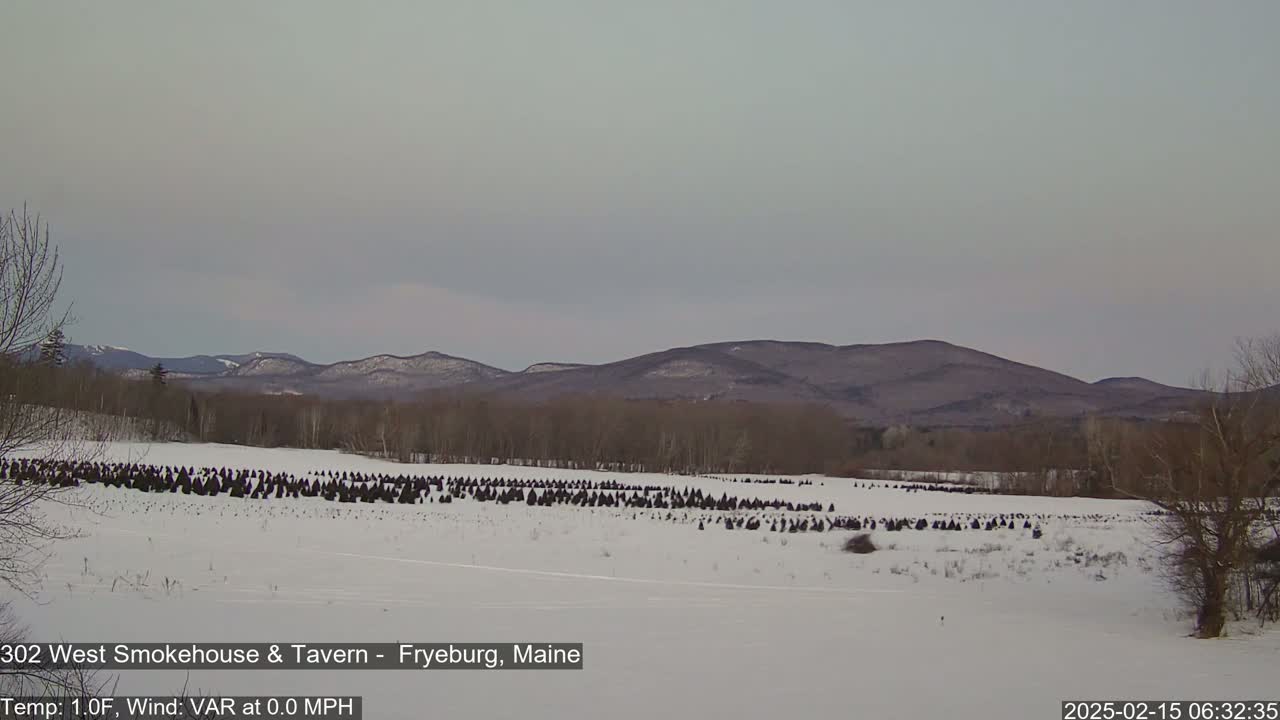 A snow-covered field with numerous dark evergreen trees stands before a range of dark, snow-dusted mountains under a pale, overcast sky.