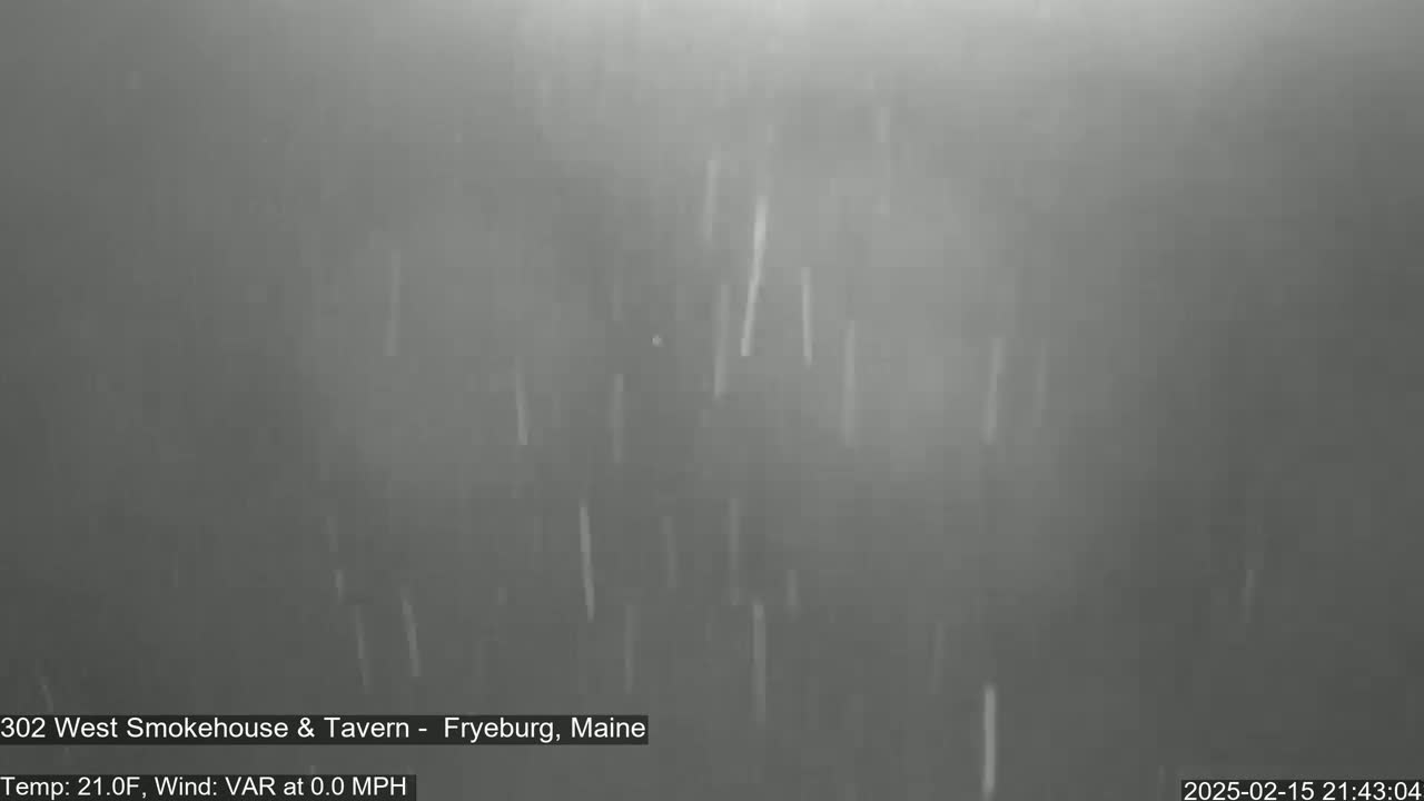 Light snow falls in a gray, dimly lit outdoor scene.