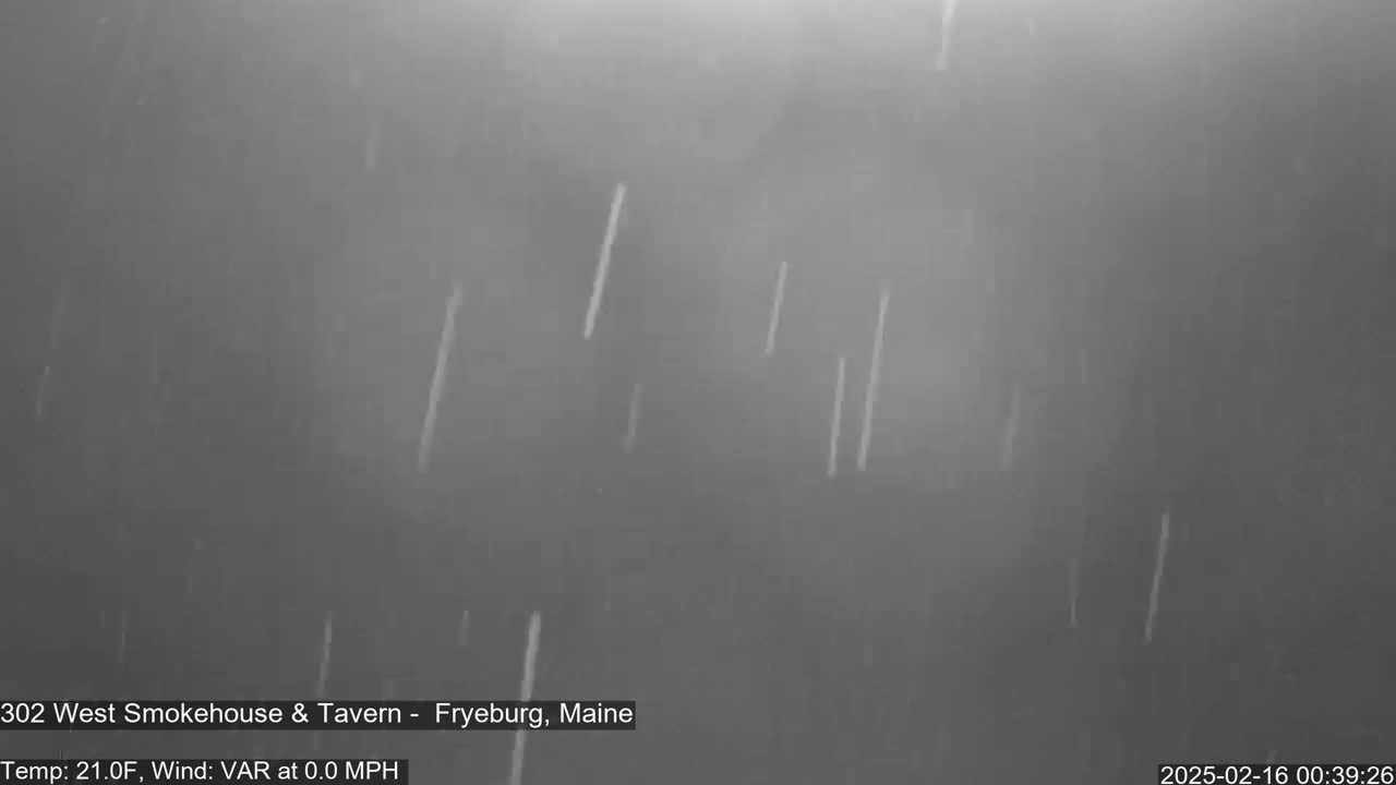 Light rain is falling on a dark, overcast day.