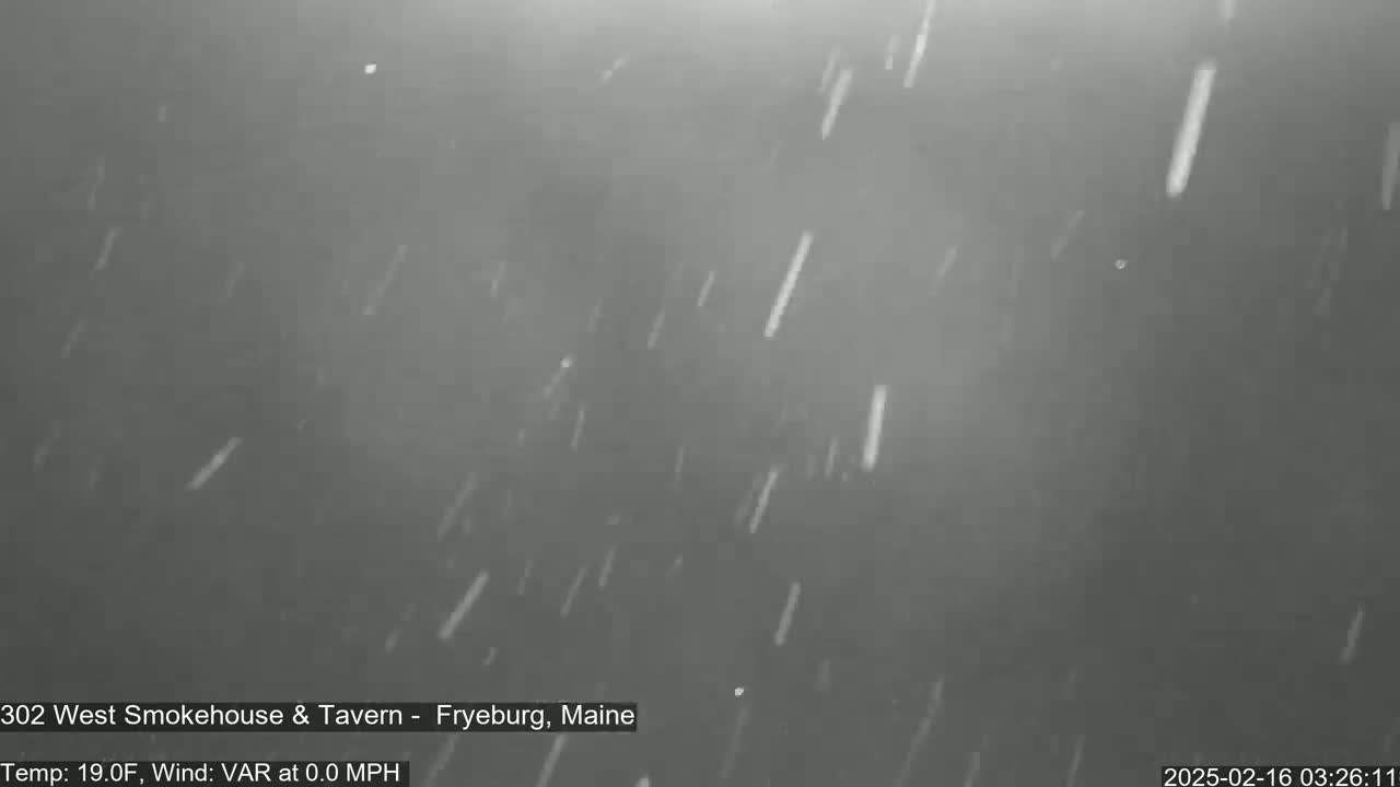 It's a nighttime, snowy scene with light snowfall and a dark gray sky.