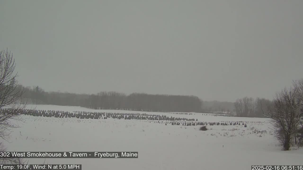 A snow-covered field with numerous small evergreen trees is visible under an overcast sky.