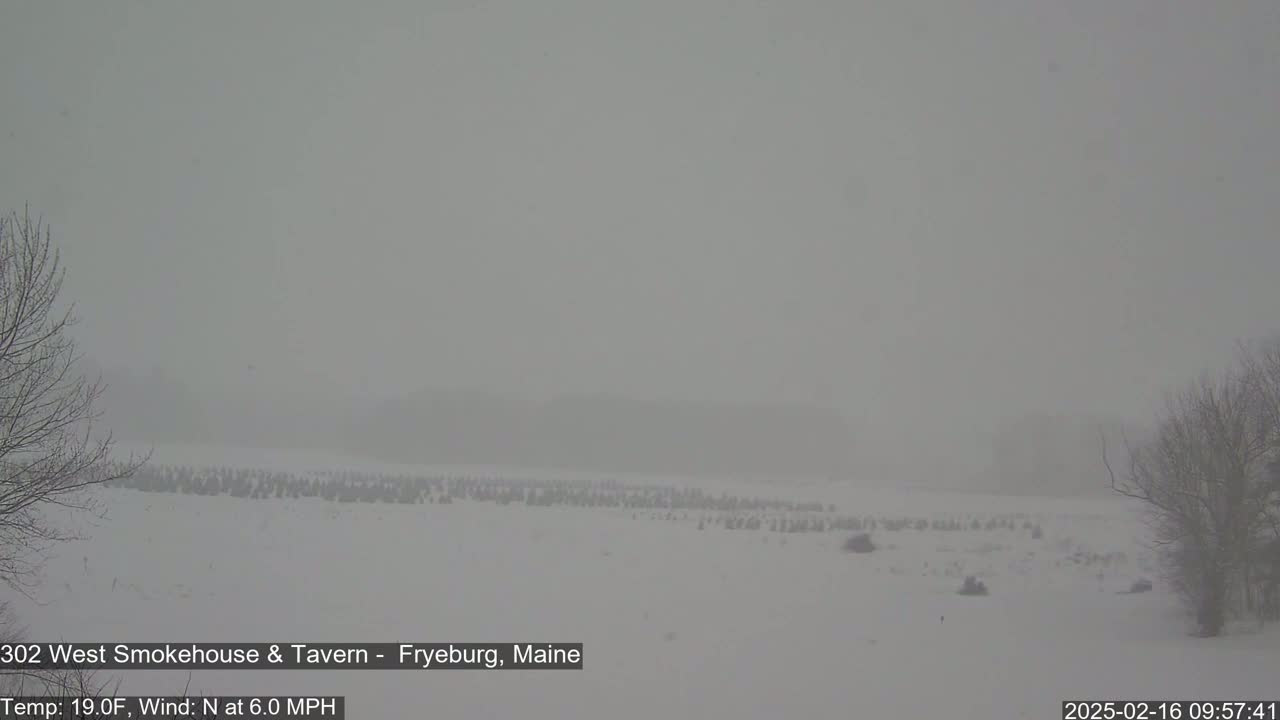 A snow-covered field with sparse trees is visible under heavy snowfall.