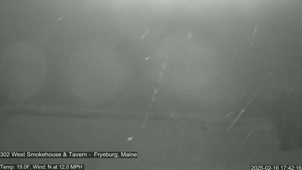 A nighttime, snowy scene with a 12 mph north wind.