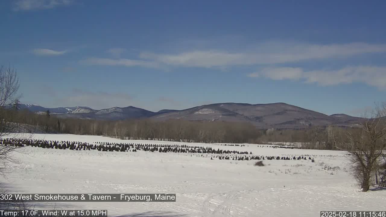 A snow-covered field with rows of small evergreen trees stretches towards distant, snow-dusted mountains under a mostly clear, blue sky.