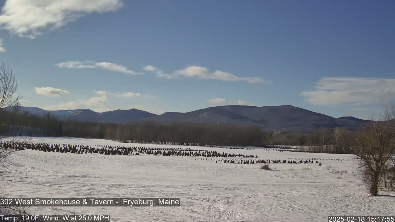 A snow-covered field with numerous dark, conical shapes, possibly hay bales, sits in front of a line of trees and distant mountains under a mostly clear, bright sky.