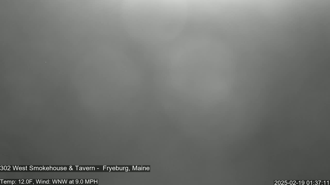 A blurry, gray image shows an overcast sky with a temperature of 12 degrees Fahrenheit and a wind blowing from the west-northwest at 9 miles per hour.