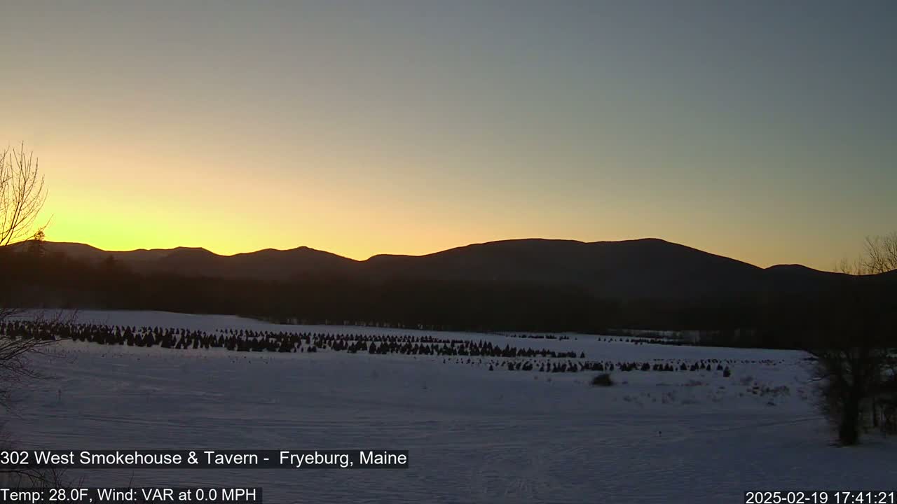 A snow-covered field with many small, dark evergreen trees stretches out before a silhouetted mountain range at sunset.