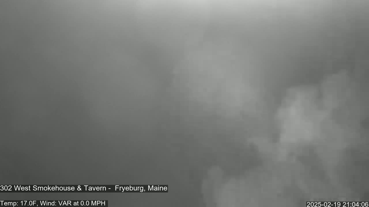 A blurry, gray image shows a foggy or hazy outdoor scene with calm winds and a temperature of 17 degrees Fahrenheit.