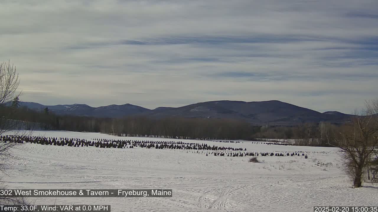A snow-covered field with numerous dark, conical objects sits before a line of bare trees and distant, low mountains under a mostly cloudy sky.