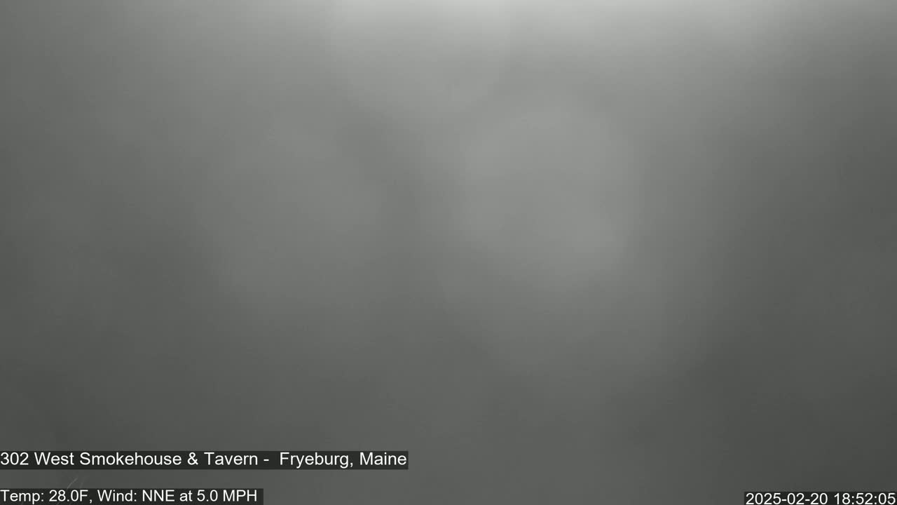 A blurry, gray image shows an overcast, foggy outdoor scene with a temperature of 28 degrees Fahrenheit and a north-northeast wind of 5 mph.