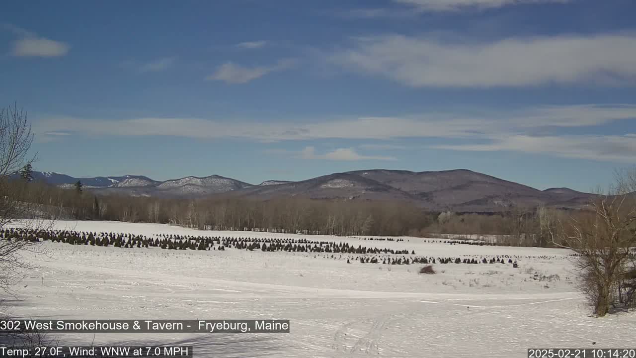 A snow-covered field with rows of small evergreen trees stretches towards distant, snow-dusted mountains under a mostly clear, bright blue sky.