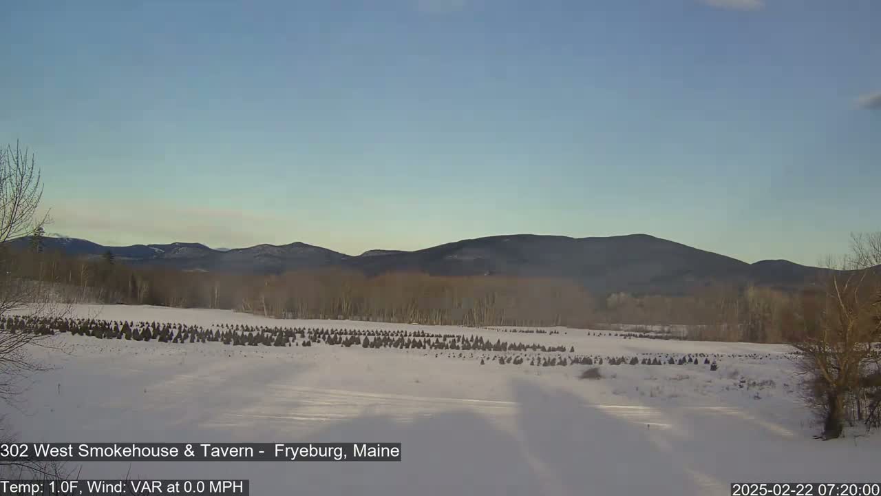 A snow-covered field of small evergreen trees sits in front of a range of dark mountains under a clear, light-blue sky.