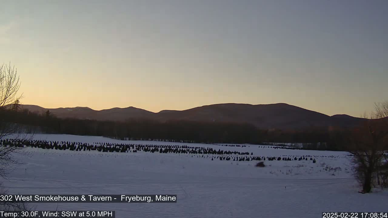 A snow-covered field filled with numerous dark evergreen trees stretches towards distant, dark mountains under a clear, twilight sky.