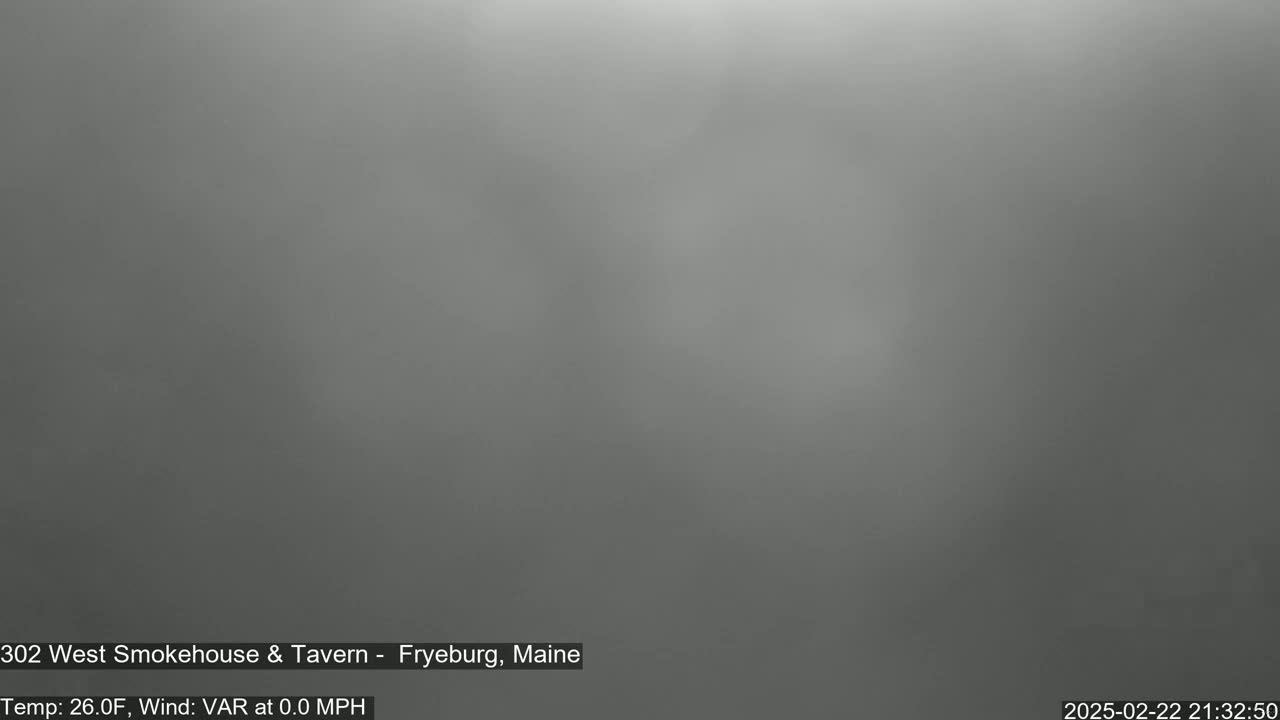 A blurry, gray image shows an overcast sky with calm, still air.