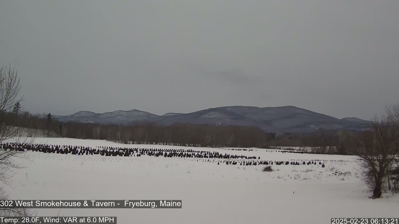 A snow-covered field filled with dark objects, possibly Christmas trees, stretches out before a line of distant, snow-dusted mountains under an overcast sky.