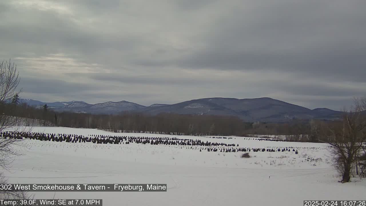 A snow-covered field with numerous dark, conical objects, possibly hay bales or Christmas trees, stretches towards a range of distant, snow-dusted mountains under a cloudy sky.
