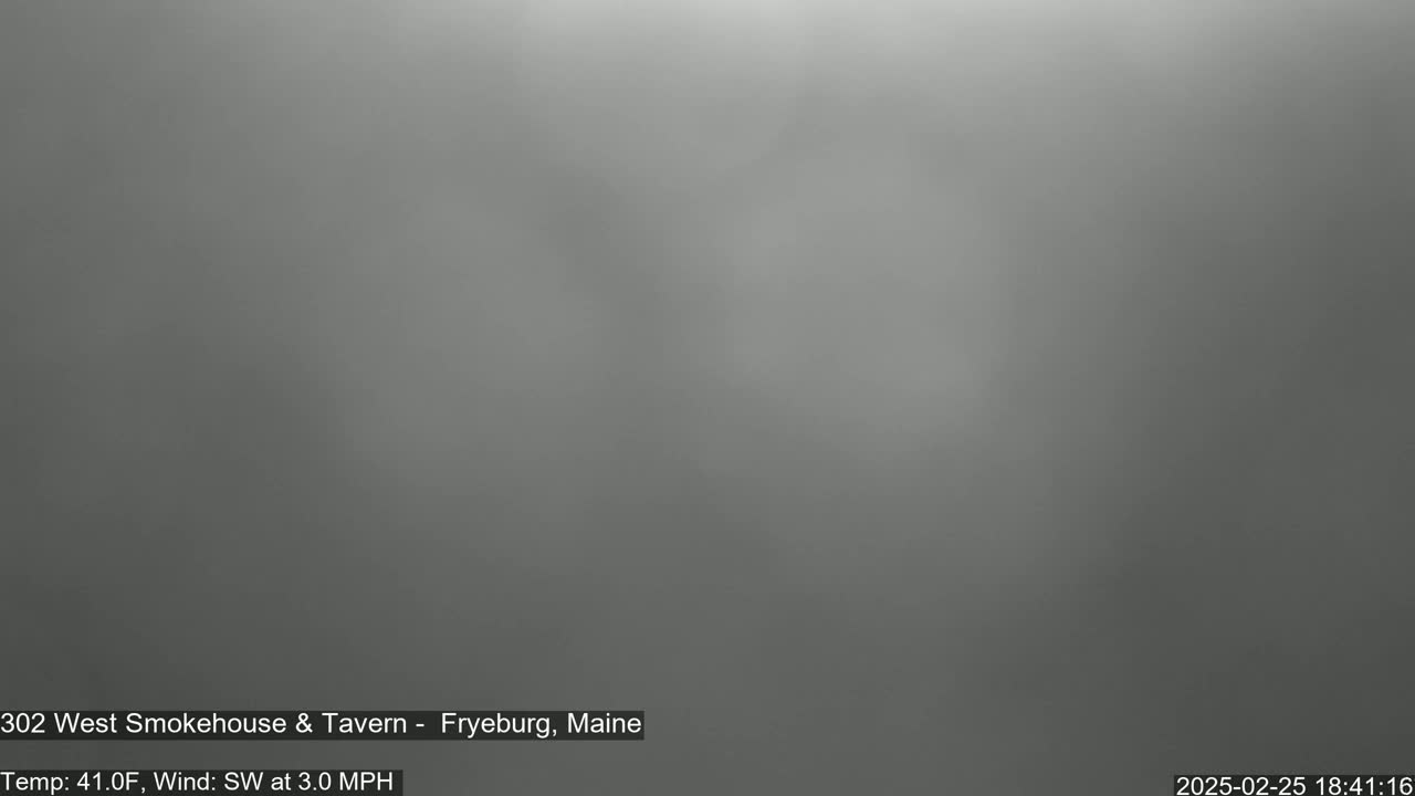 A blurry, overcast outdoor scene shows a muted gray sky with a light southwest wind at 3.0 mph and a temperature of 41 degrees Fahrenheit.