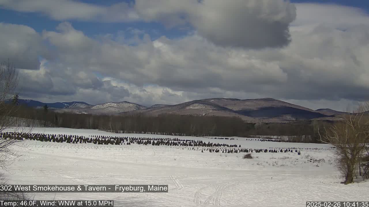 A snow-covered field with rows of evergreen trees stretches towards a range of mountains under a partly cloudy sky.